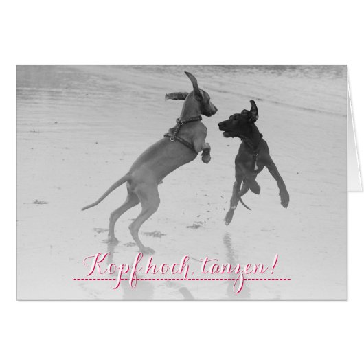Doggenkarte "Tanzen" (Front Horizontal)