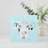 Doggenkarten Mettalic Caja (Standing Front)