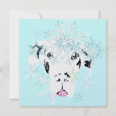 Doggenkarten Mettalic Caja (Front)