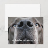 Doggennase (Front/Back)