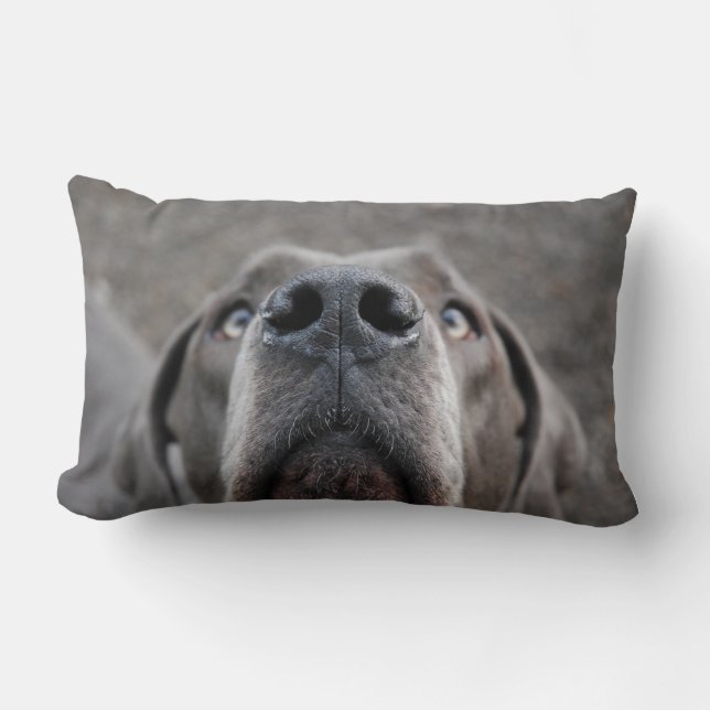 Doggennase cushion (Front)