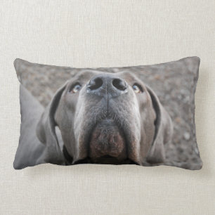 Doggennase cushion