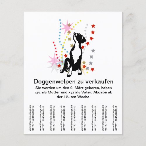 Doggenpuppies for sale flyer