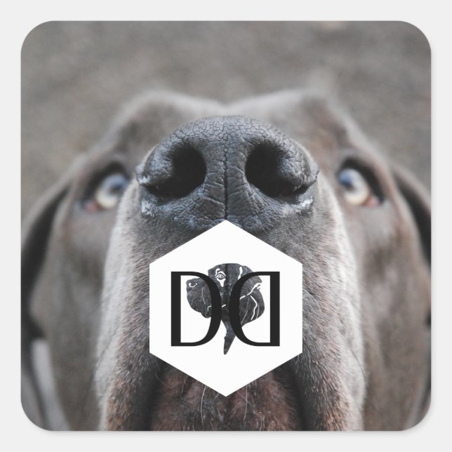 Doggenzucht Aufkleber Square Sticker (Front)
