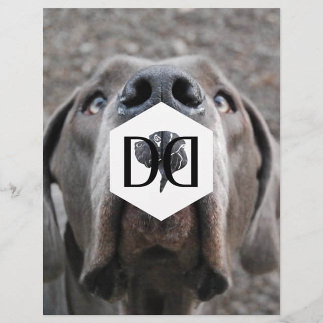 Doggenzucht Inventar Flyer (Front)