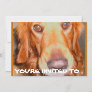 DOGGIE BIRTHDAY PARTY INVITATIONS