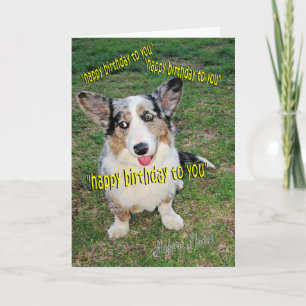 Doggie Cake Dreams Card