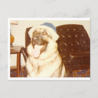 Doggie_Cap Postcard
