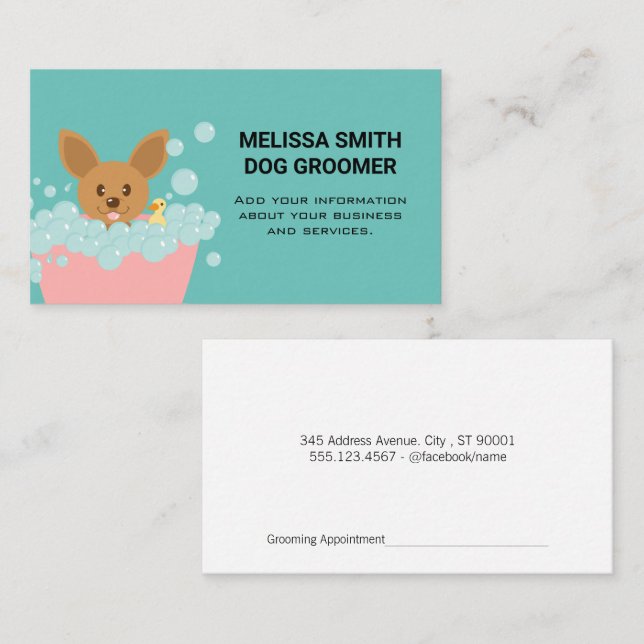 Doggie in Soap Bubble Bath  Appointment Card (Front/Back)