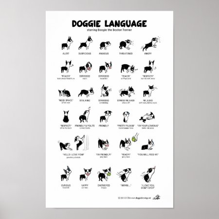 Doggie Language Large Poster