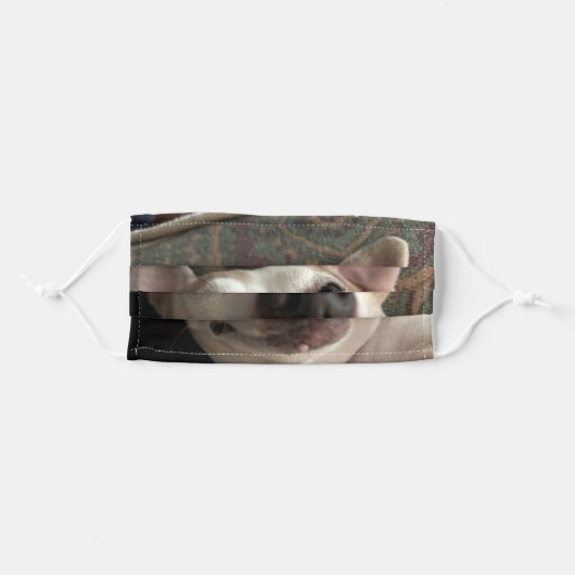 Doggie Mask (Front, Folded)