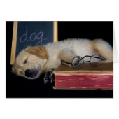 Doggie School (Front Horizontal)