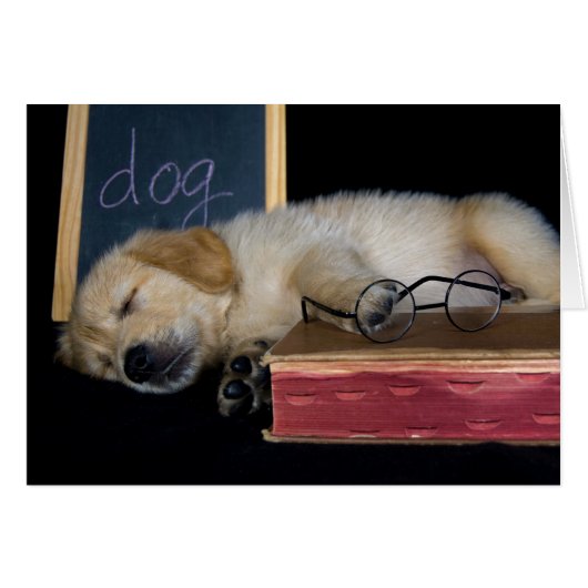 Doggie School Cards (Front Horizontal)