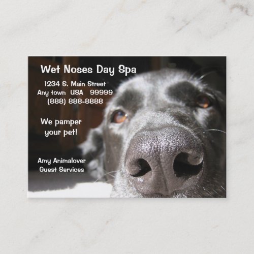 Doggie Spa Business And Appointment Card Business Card