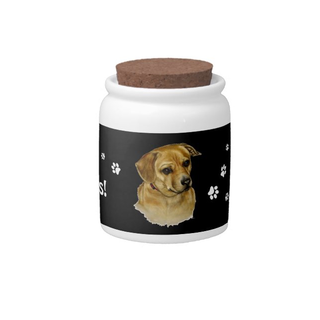Doggie Treat Jar (Front)