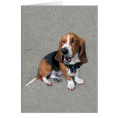 Doggone Cute (Front)