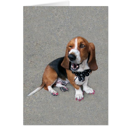Doggone Cute Cards (Front)