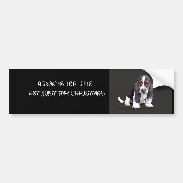doggy bumper sticker (Front)