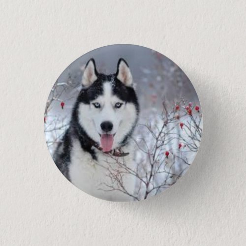 Doggy Button Delight