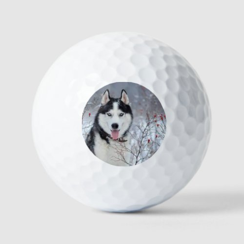 Doggy Button Delight Golf Balls