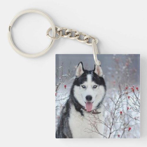 Doggy Button Delight Keychain