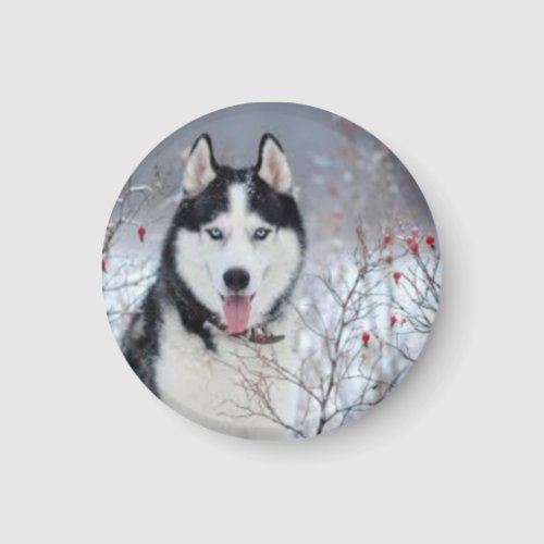 Doggy Button Delight Magnet