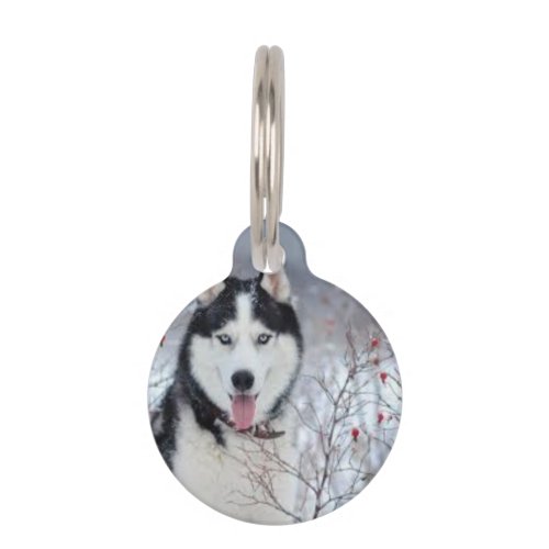 Doggy Button Delight Pet ID Tag