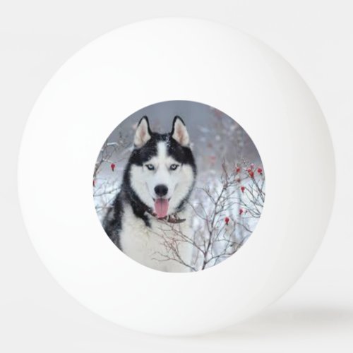 Doggy Button Delight Ping Pong Ball