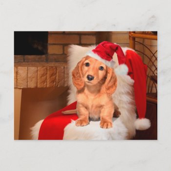 Doggy Christmas Holiday Postcard by CaptainScratch at Zazzle