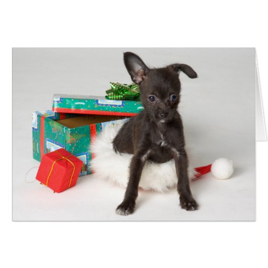 Doggy Christmas present Cards (Front Horizontal)