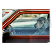 Doggy driver cards (Front Horizontal)