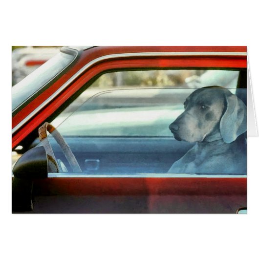 Doggy driver cards (Front Horizontal)