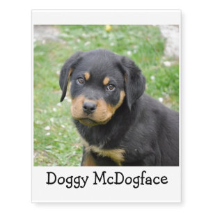 Doggy McDogface Rottweiler Puppy Temporary Tattoos