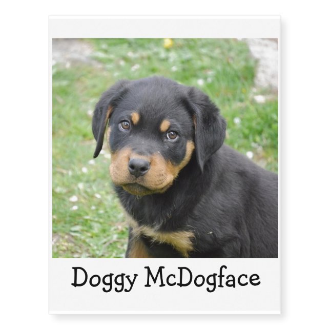 Doggy McDogface Rottweiler Puppy Temporary Tattoos (Front)