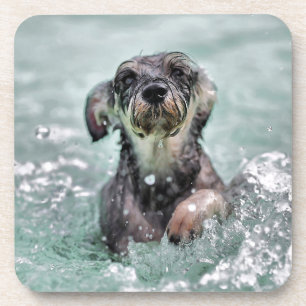 Doggy Paddle Cute Dog Swimming Beverage Coaster