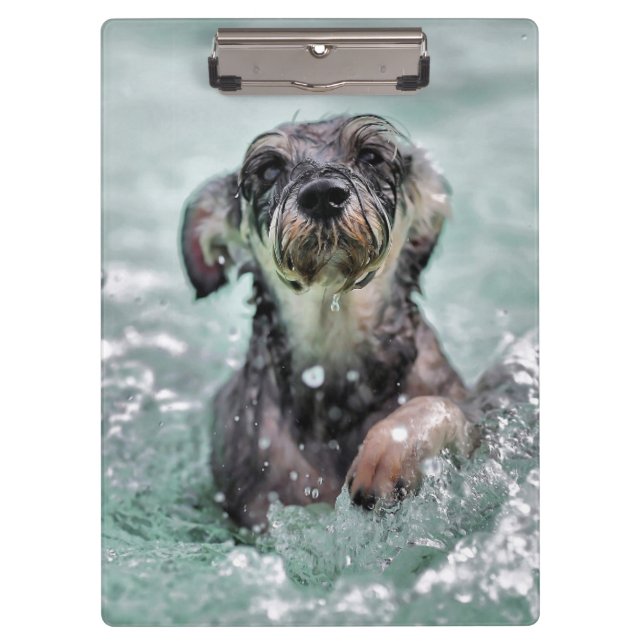 Doggy Paddle Cute Dog Swimming Clipboard (Front)