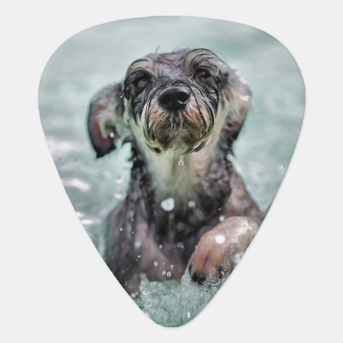 Doggy Paddle Cute Dog Swimming Guitar Pick