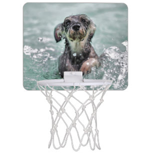 Doggy Paddle Cute Dog Swimming Mini Basketball Hoop