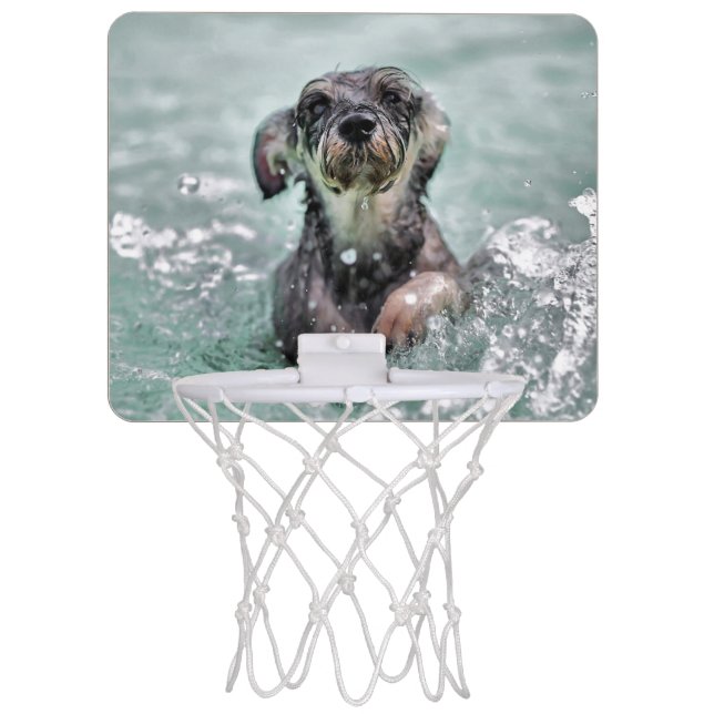 Doggy Paddle Cute Dog Swimming Mini Basketball Hoop (Front)