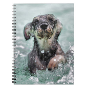 Doggy Paddle Cute Dog Swimming Notebook