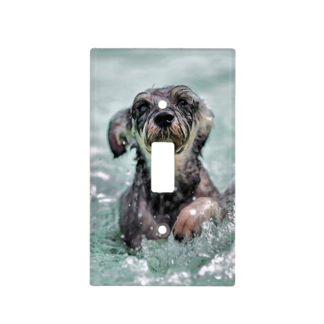 Doggy Paddle Light Switch Cover (Front)