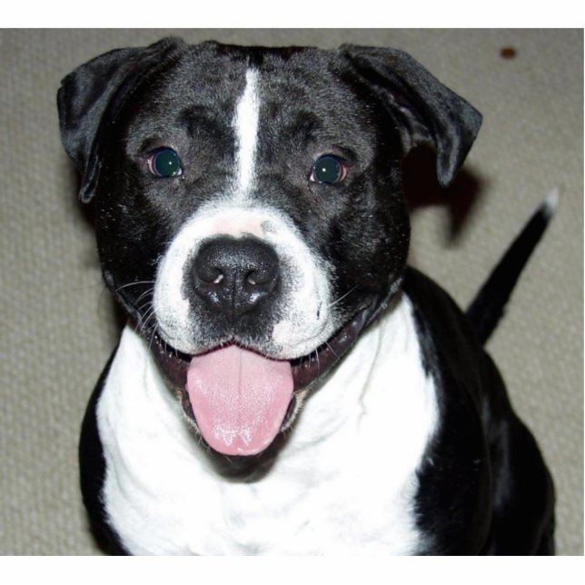 Doggy Smile Statuette (Front)