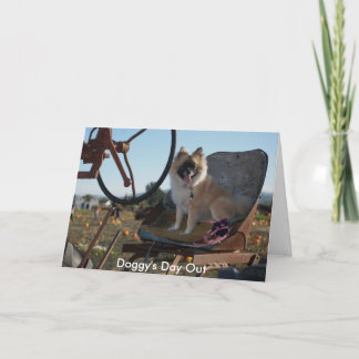Doggy's Day Out Holiday Card