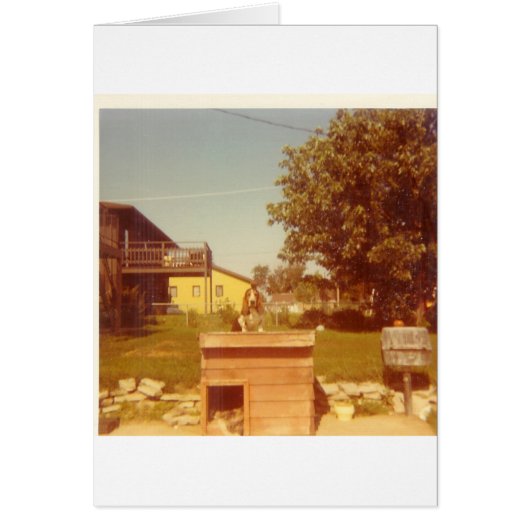 Doghouse Cards (Front)