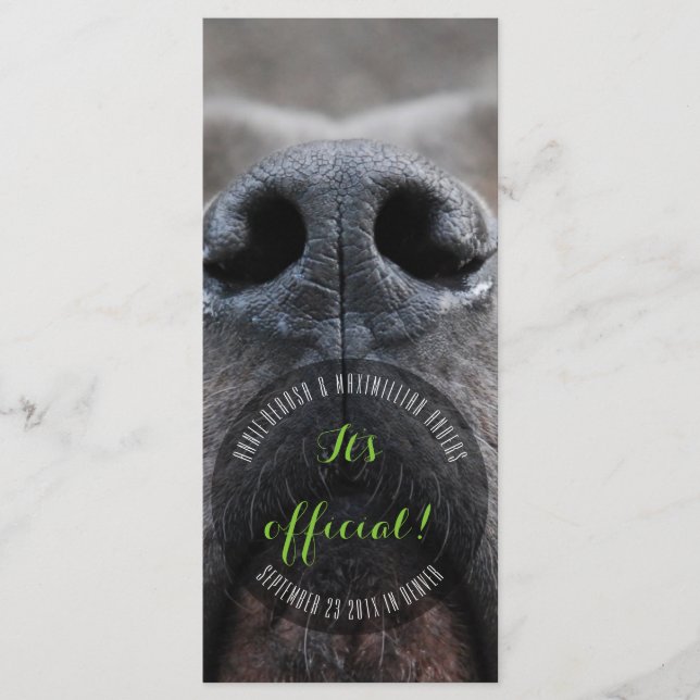 Dognose Rack Cards (Front)