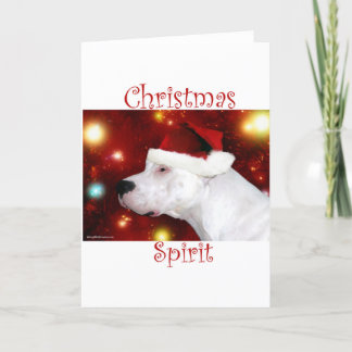 Dogo Argentino Christmas Spirit Holiday Card
