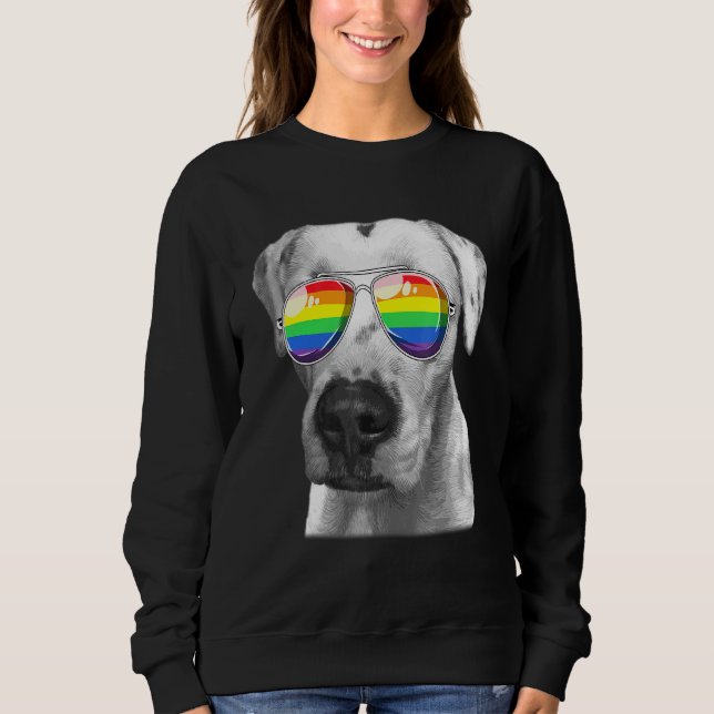 Dogo Argentino Dog Gay Pride Flag Sunglasses Lgbt Sweatshirt (Front)