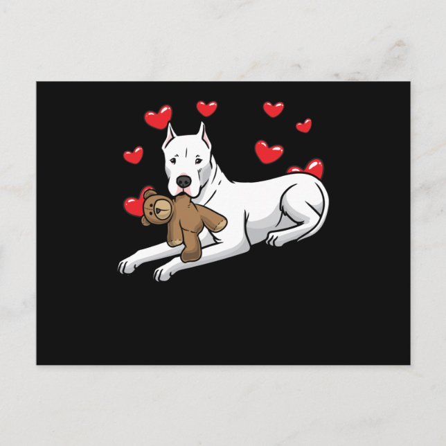 Dogo Argentino Dog With Stuffed Animal And Hearts Postcard (Front)