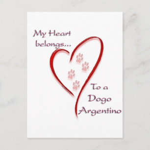 Dogo Argentino Heart Belongs Postcard