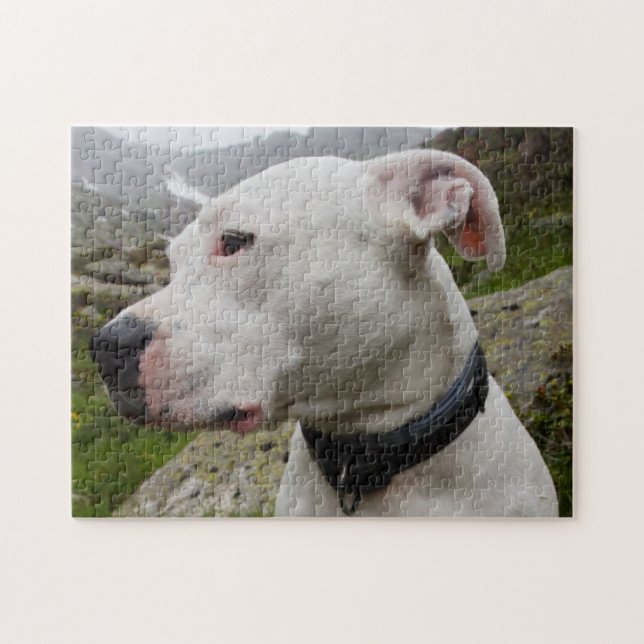 Dogo argentino jigsaw puzzle (Horizontal)